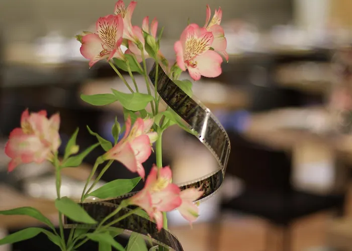 Zinema7 San Sebastian