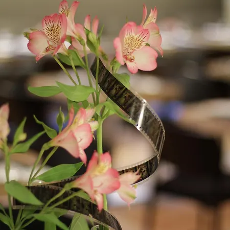 Zinema7 San Sebastian