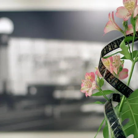 Zinema7 San Sebastian