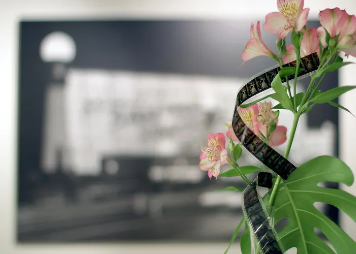 Zinema7 San Sebastian